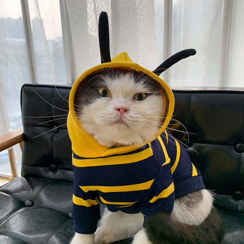 Bee Costume Pet Jacket – Cozy & Cute