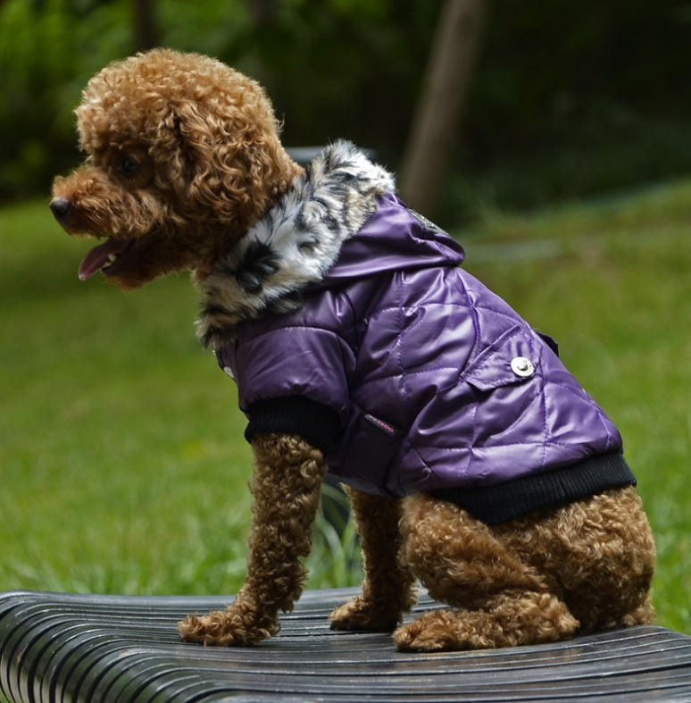 Autumn & Winter Dog Coat – Cozy Fur Collar, Warm & Stylish