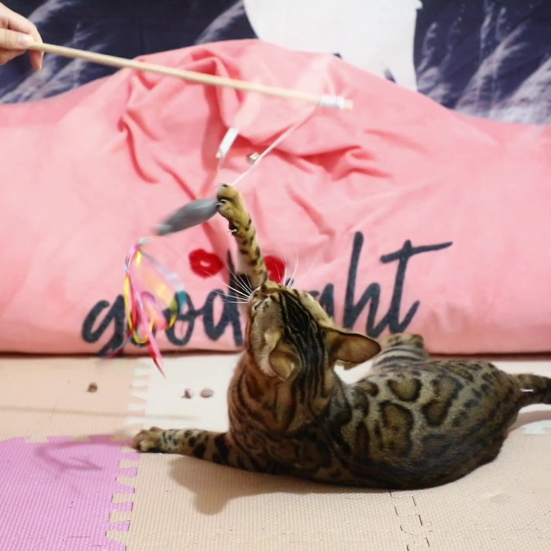 Colorful Cat Teaser Wand – Bells + Fish Design