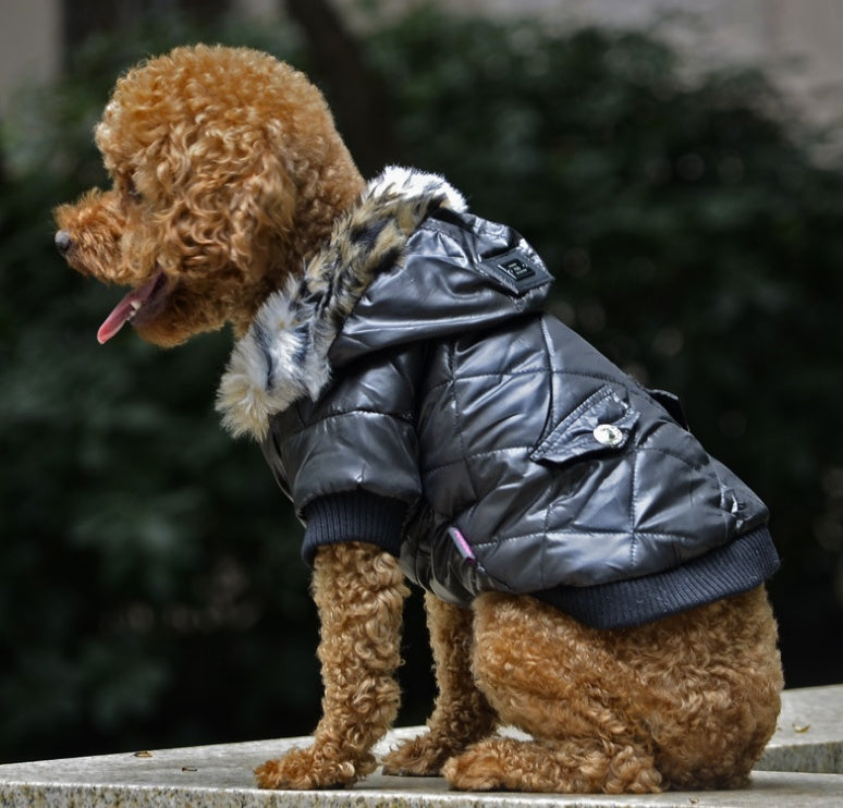 Autumn & Winter Dog Coat – Cozy Fur Collar, Warm & Stylish