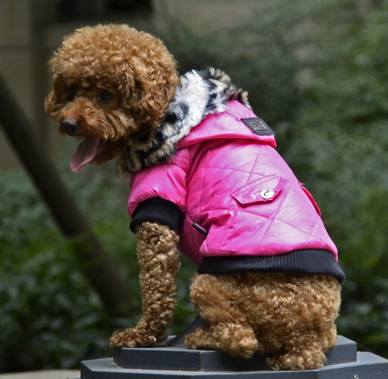 Autumn & Winter Dog Coat – Cozy Fur Collar, Warm & Stylish