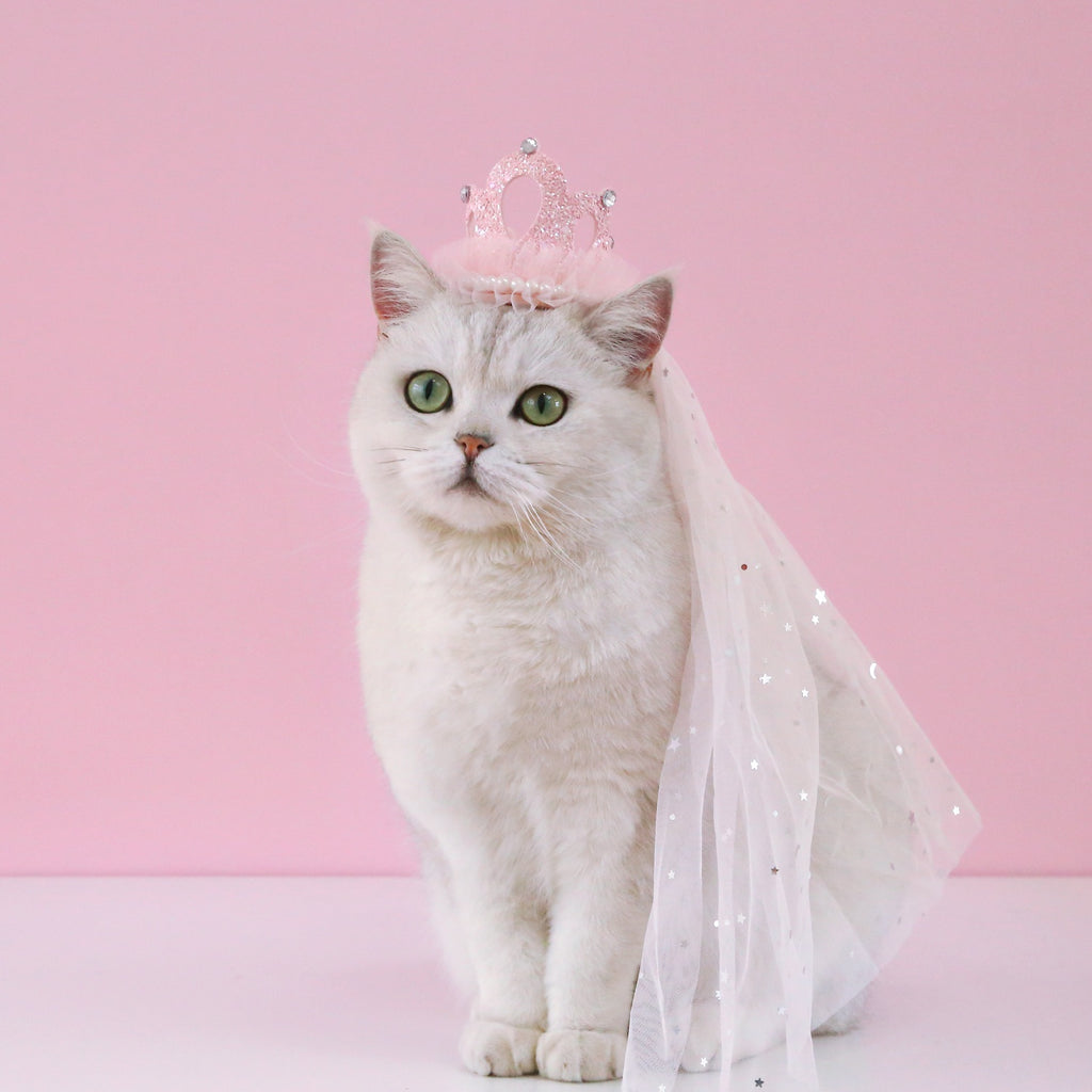 Pet Wedding Princess Crown Headdress Cat