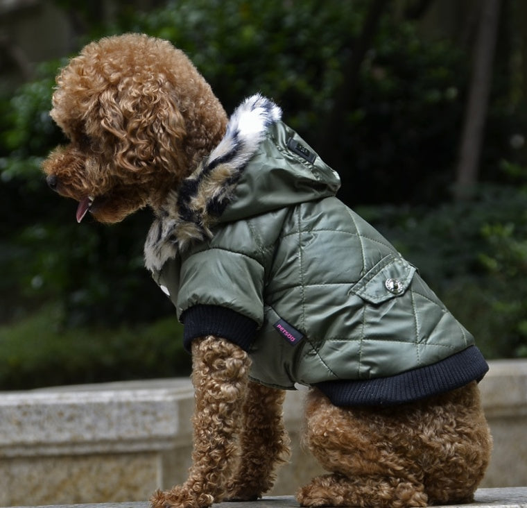 Autumn & Winter Dog Coat – Cozy Fur Collar, Warm & Stylish