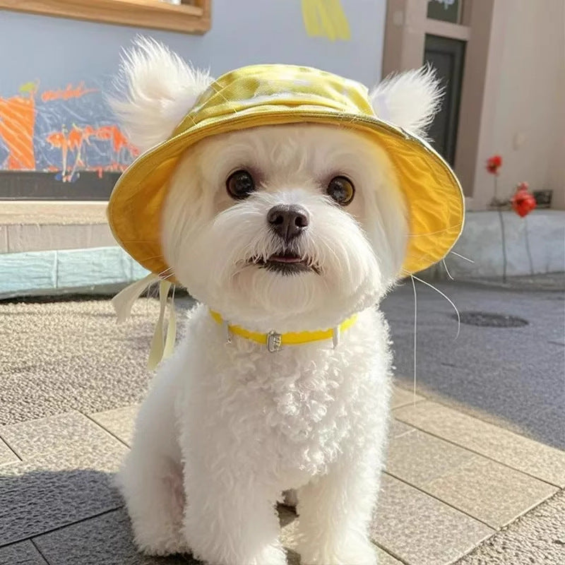 Cute Exposed Ears Pet Cat Dog Bucket Hat
