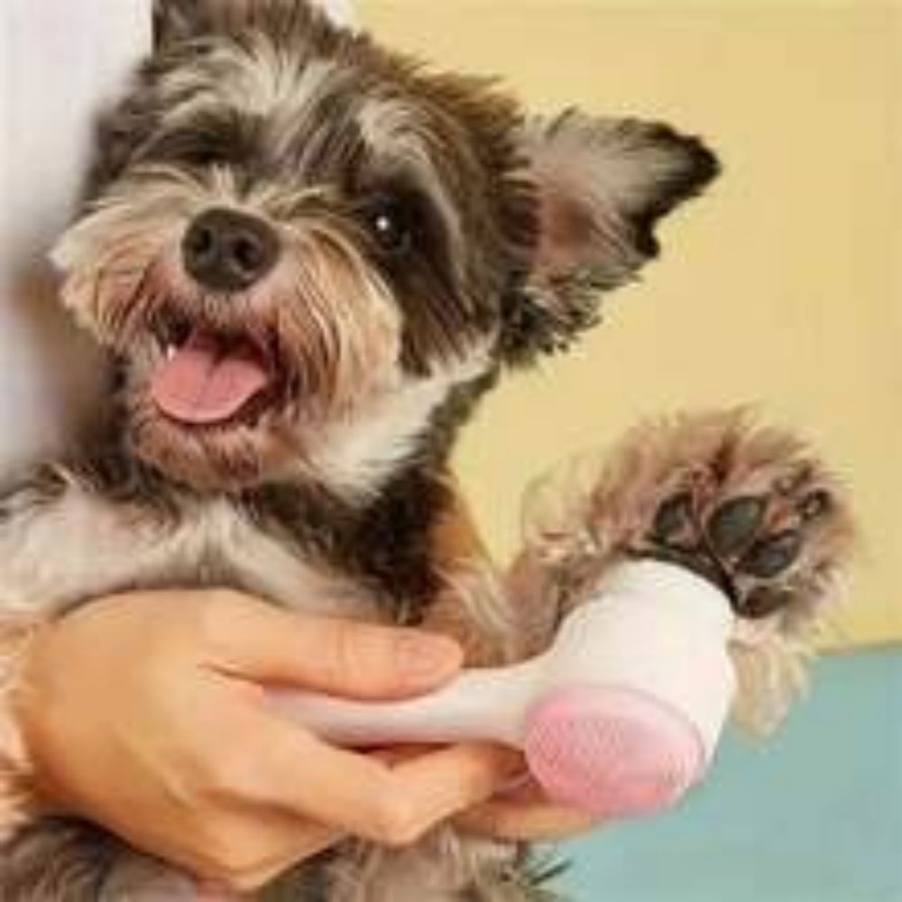 Easy-Clean Pet Paw Brush – Groom & Massage