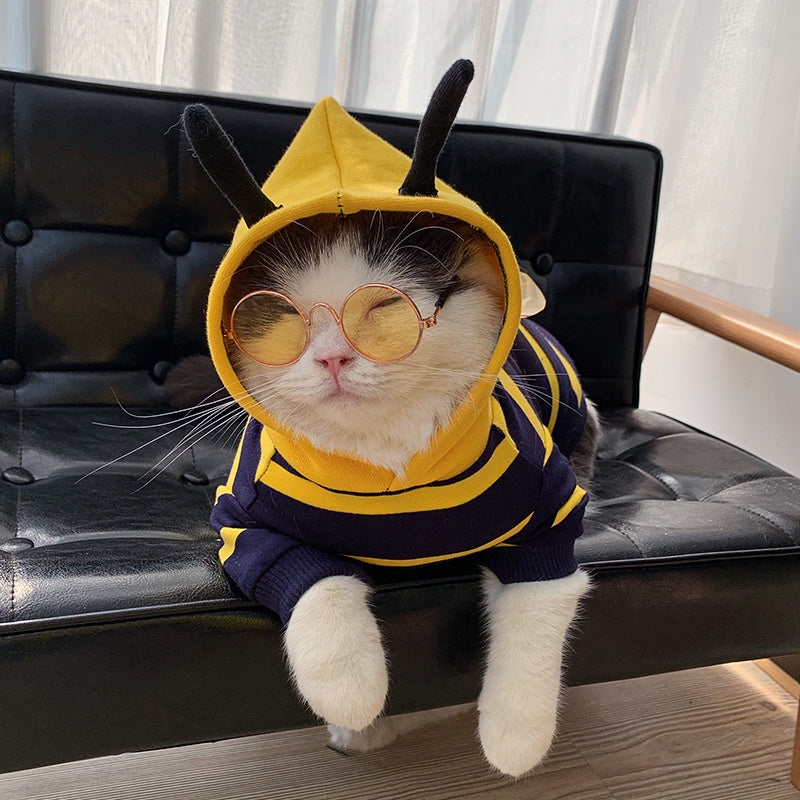 Bee Costume Pet Jacket – Cozy & Cute