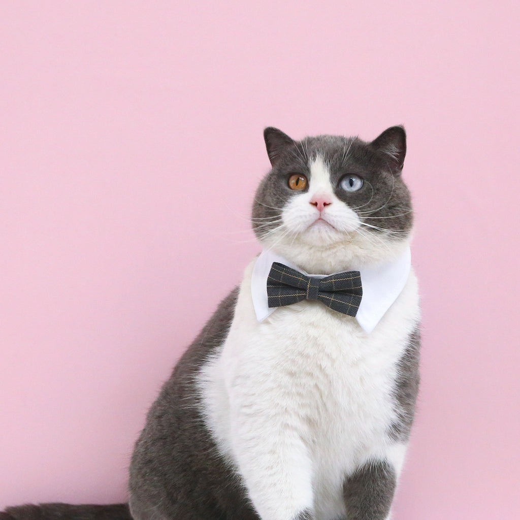 Pet Wedding Princess Crown Headdress Cat